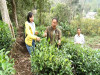 Gương sáng người cao tuổi làm kinh tế giỏi