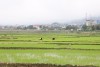 IMG 7775