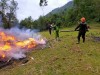 IMG 0924