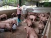 IMG 200