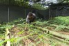 IMG 3685