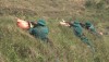 IMG 6546