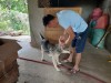 IMG 4848