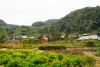 DSC02273