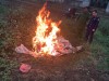 IMG 6653