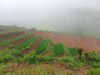 IMG 9716