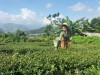 Nữ bí thư chi bộ trẻ năng động, nhiệt huyết