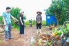 BÌNH LƯ KIỂM TRA, CHẤN CHỈNH TÌNH TRẠNG VỨT BỎ BAO BÌ THUỐC BẢO VỆ THỰC VẬT KHÔNG ĐÚNG NƠI QUY ĐỊNH