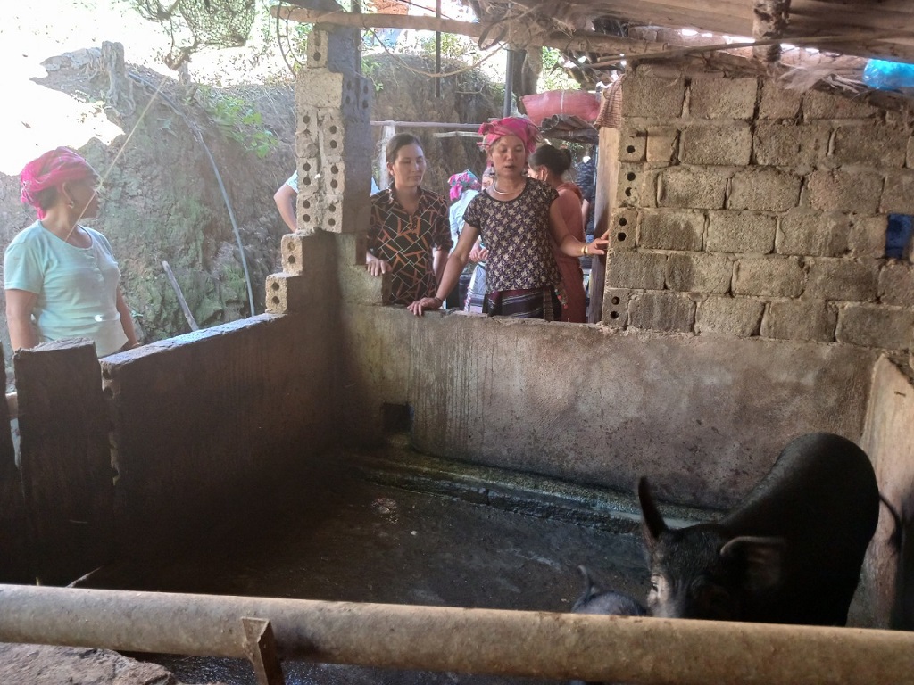 IMG 3139