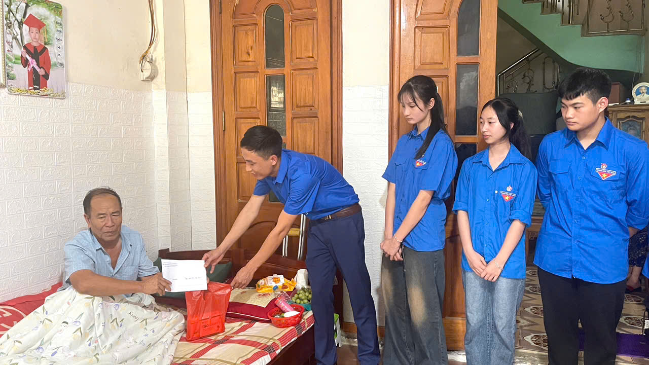 IMG 251